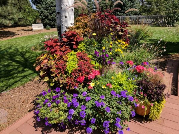 Big overflowing flowerpots in just a few easy steps!