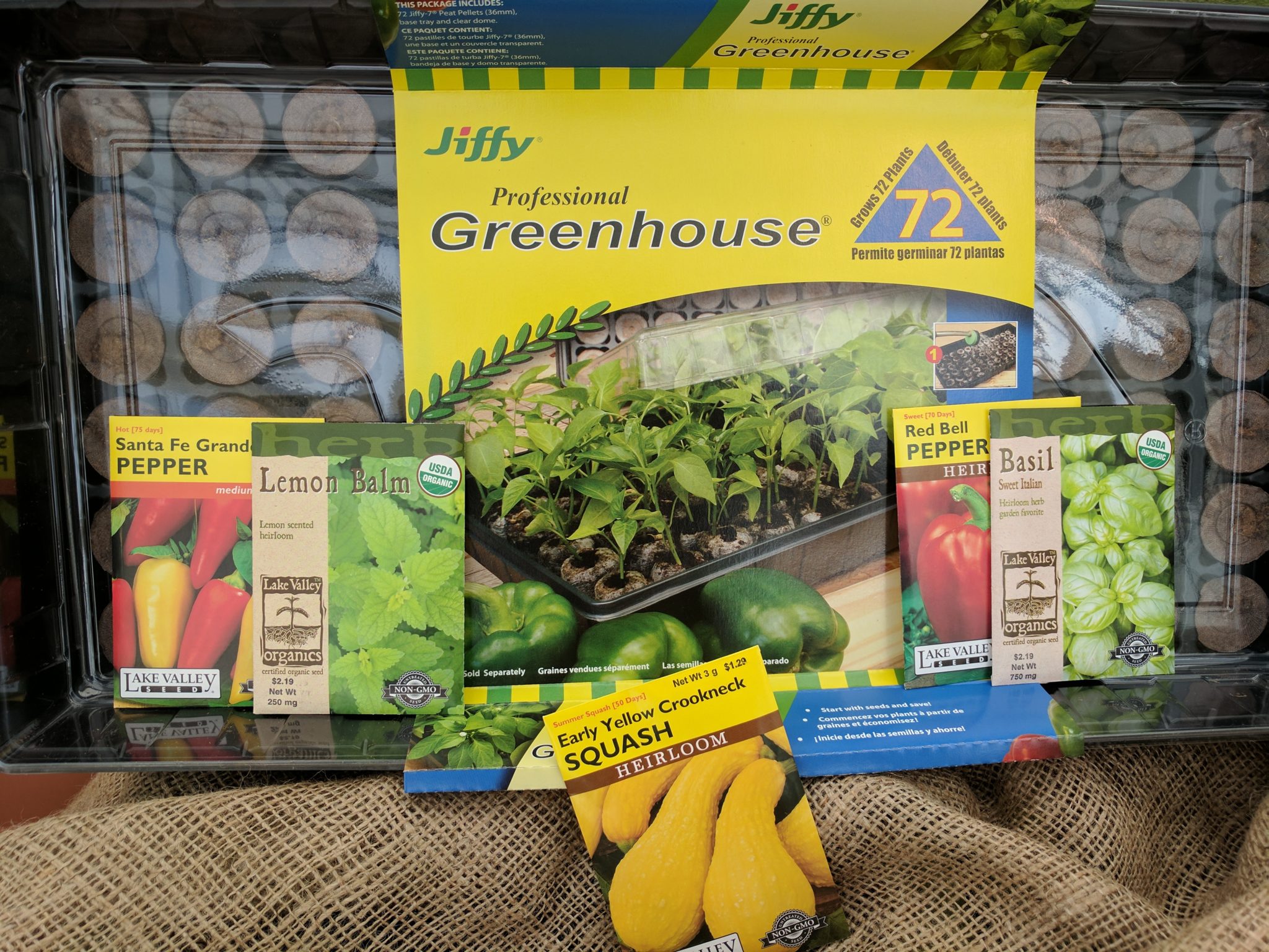 5 Easy Seedstarting Tips to Help You Grow Seeds Like a Pro Tagawa