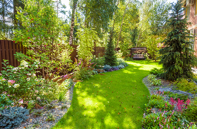 Privacy In Your Back Yard, All American Landscaping Colorado Springs