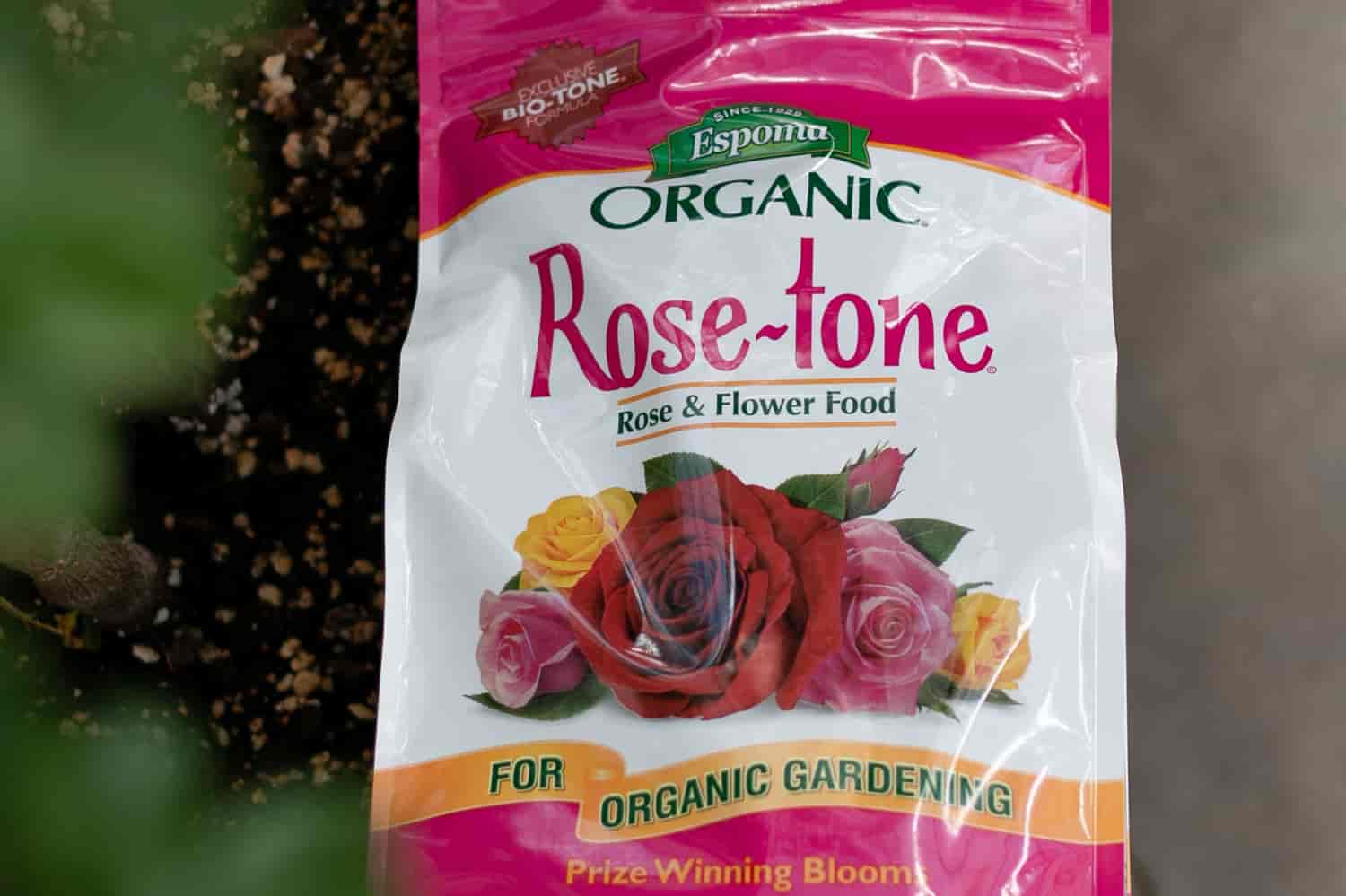 Rose Care at a Glance