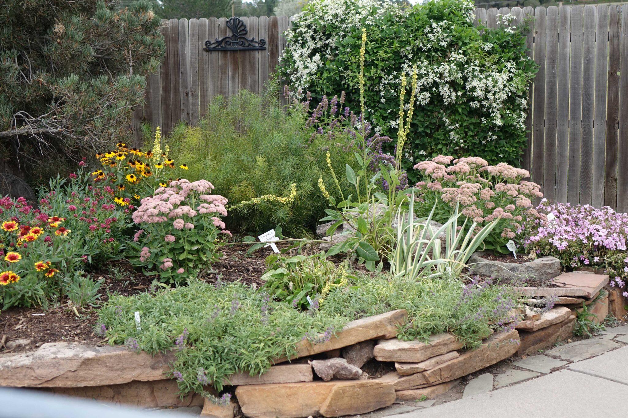 Principles of Xeriscape 1: Design - with Craig Miller - Tagawa Gardens