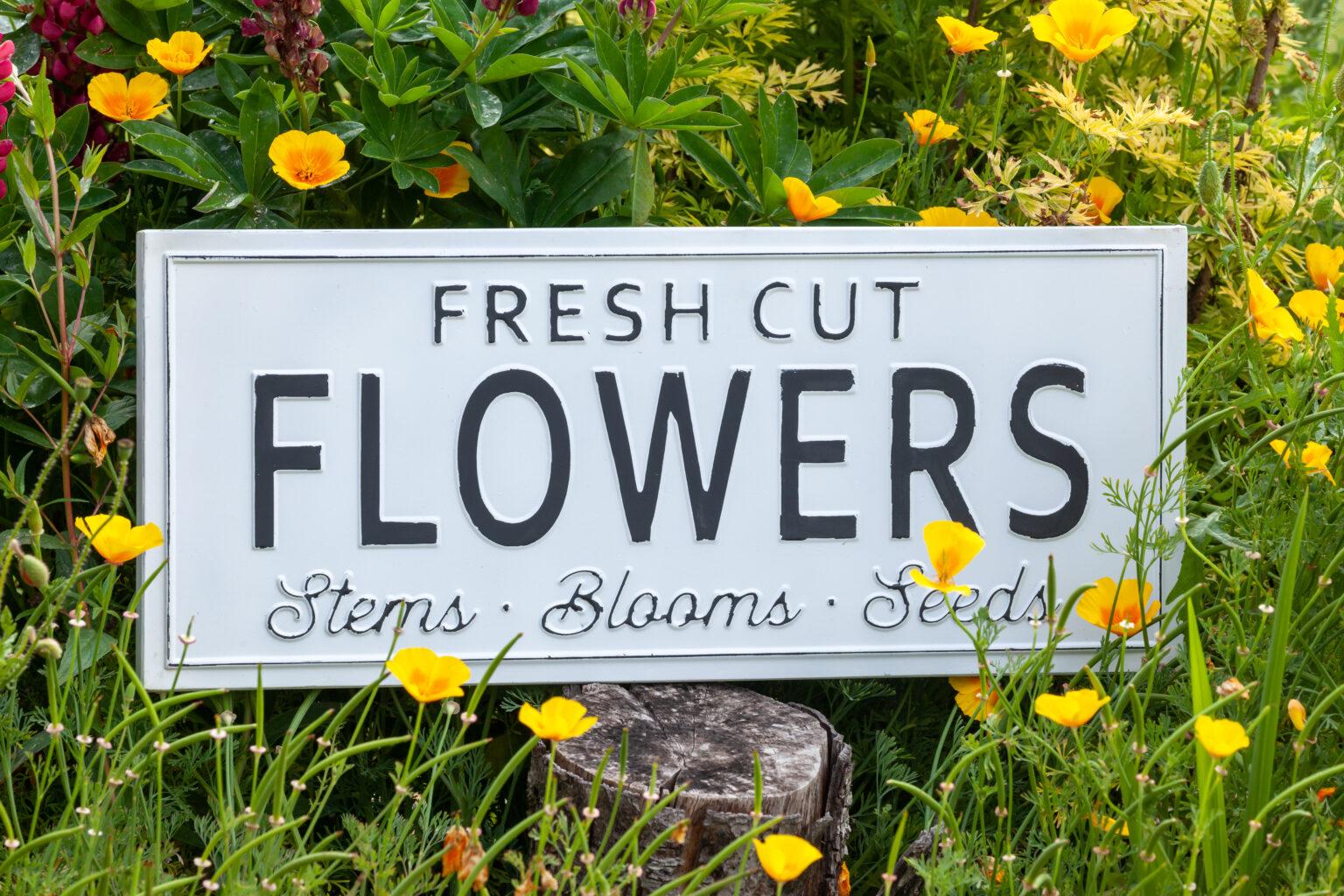 Home Tagawa Gardens Colorado S Garden Center   FRESH CUT FLOWERS SIGN SS 1536x1024 