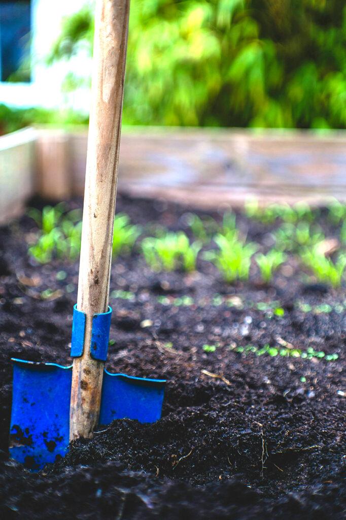 Raised Bed Gardening - with Linda L - Tagawa Gardens