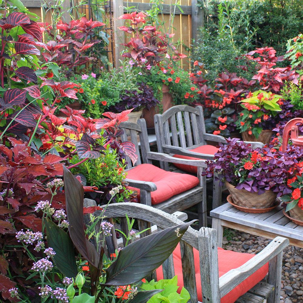 Chairs in a flower garden